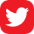 RB Custom Framing Twitter Logo